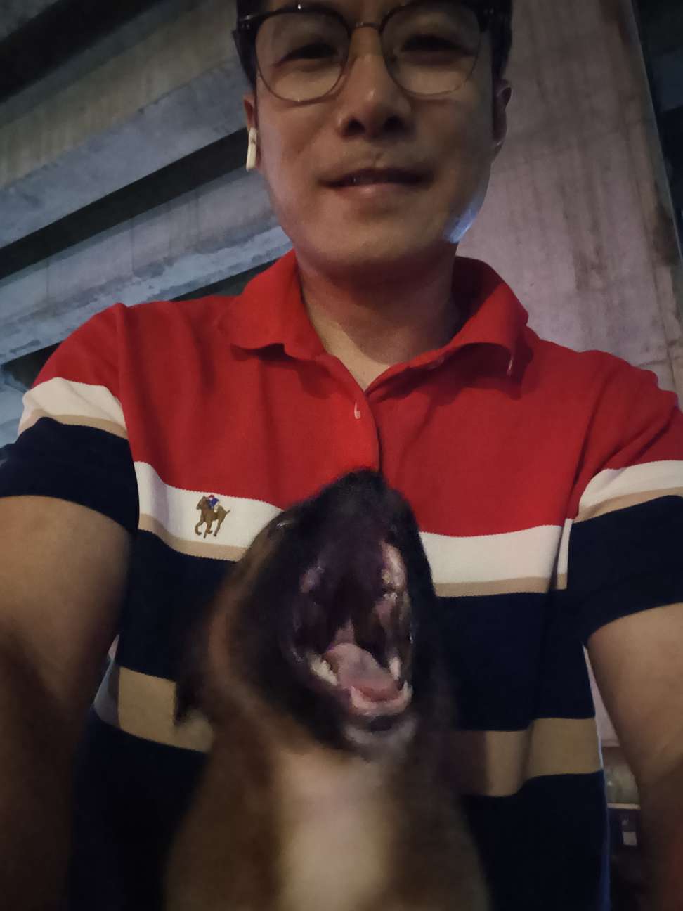暖恋app