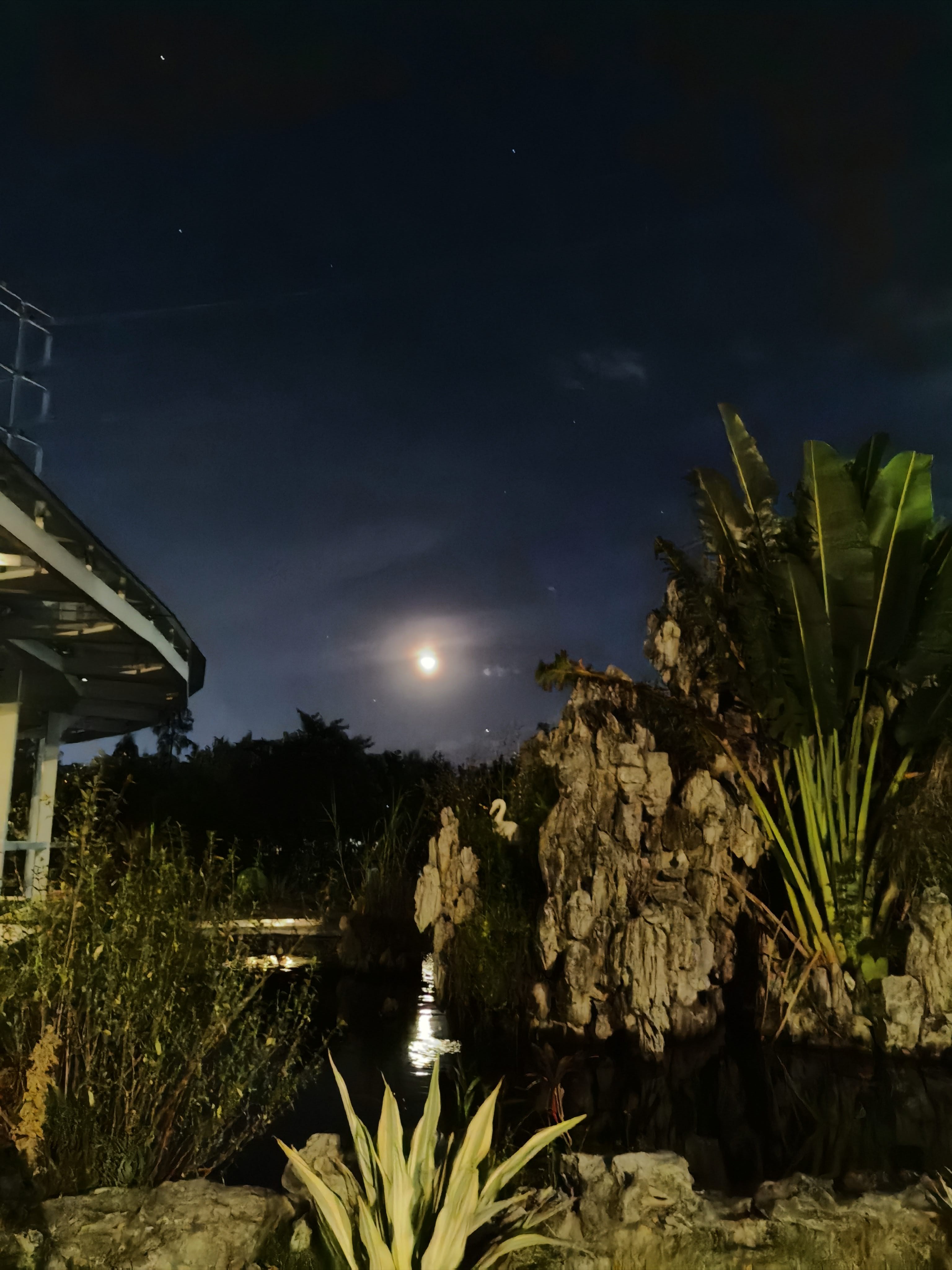 暖恋app