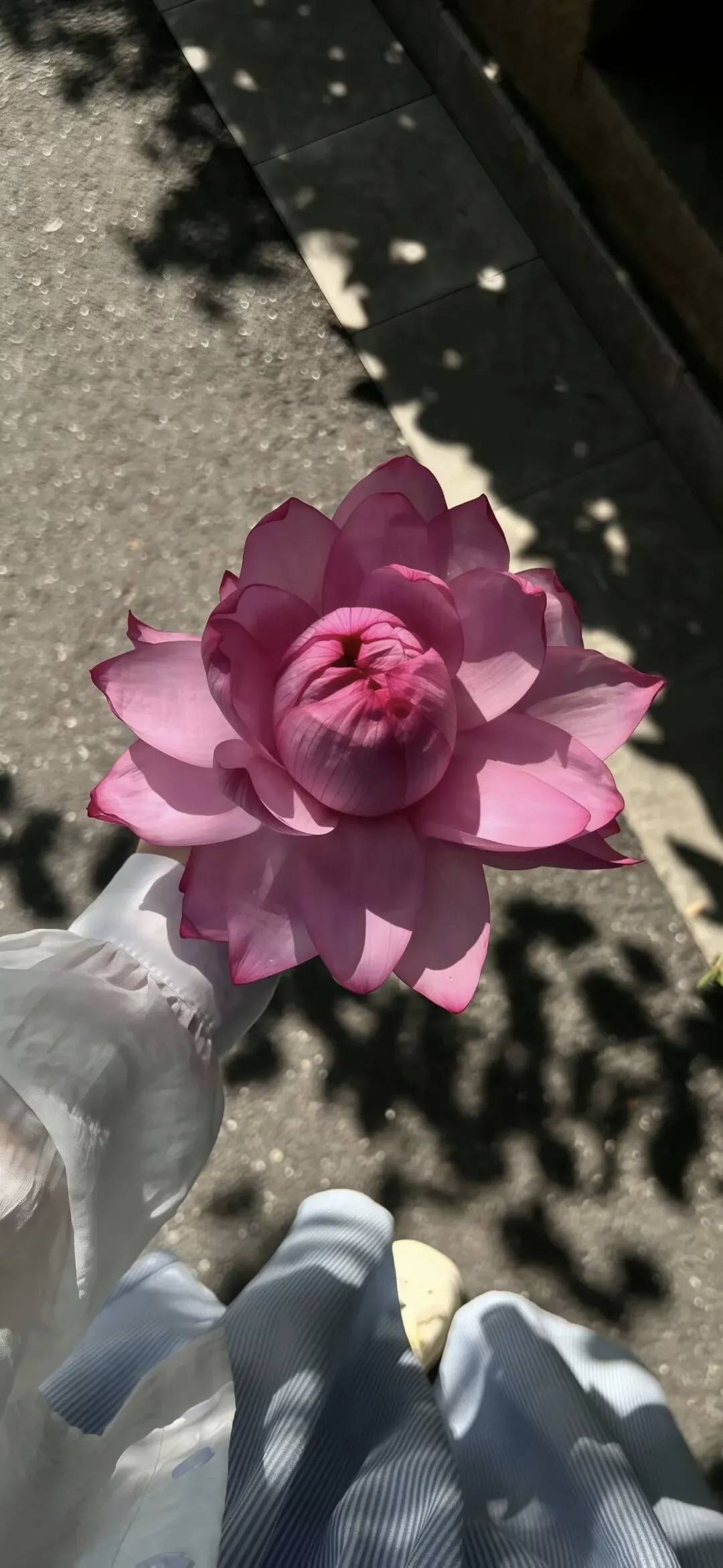 暖恋app