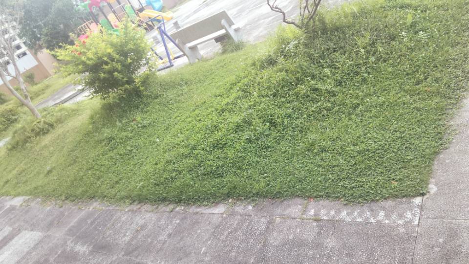 暖恋app