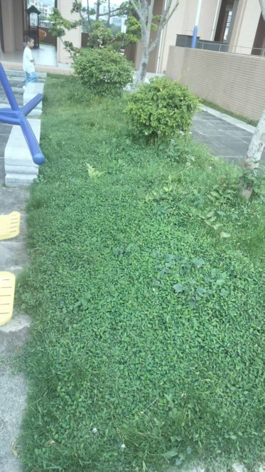 暖恋app