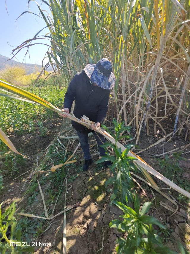 暖恋app