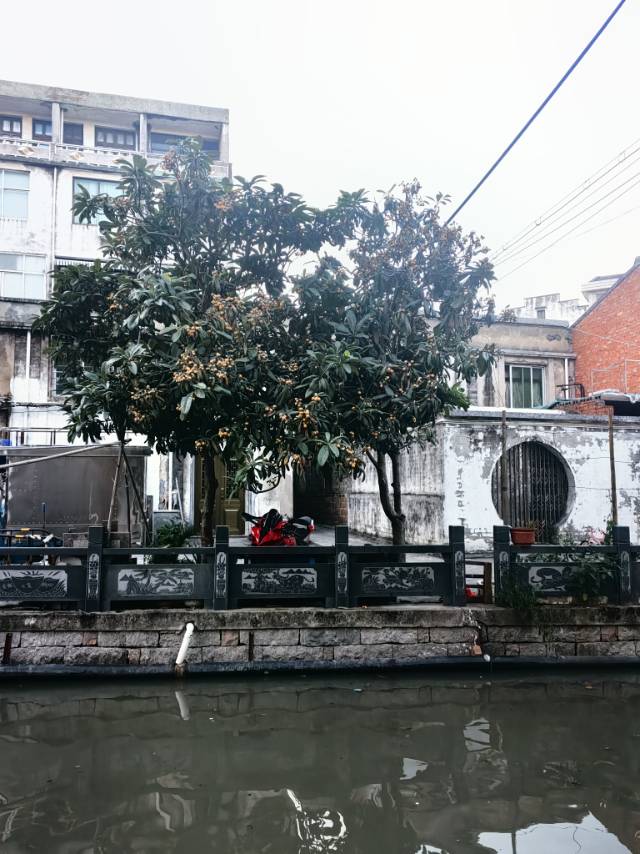 暖恋app