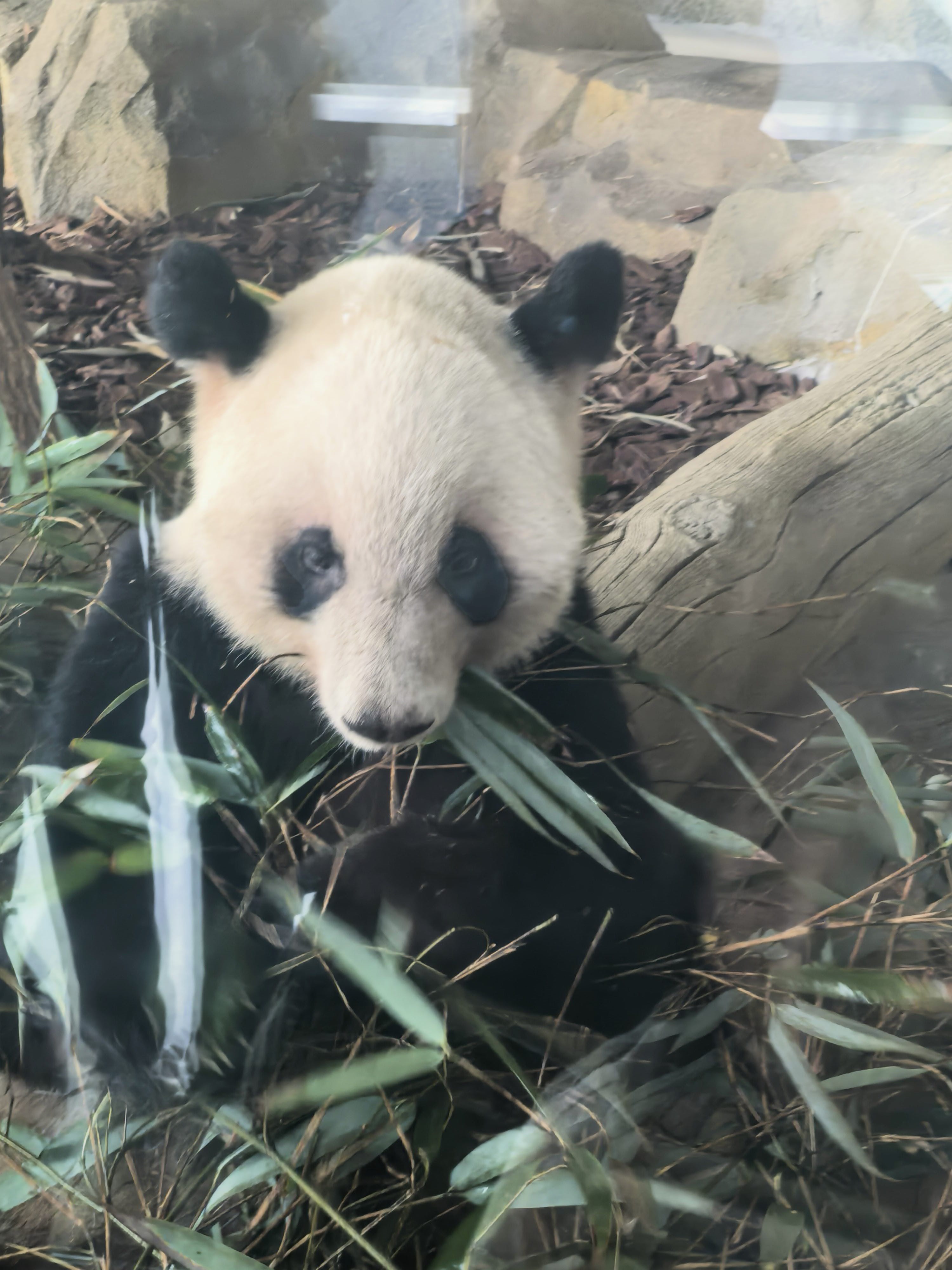 暖恋app