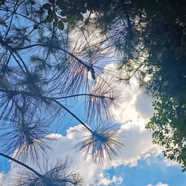 暖恋app