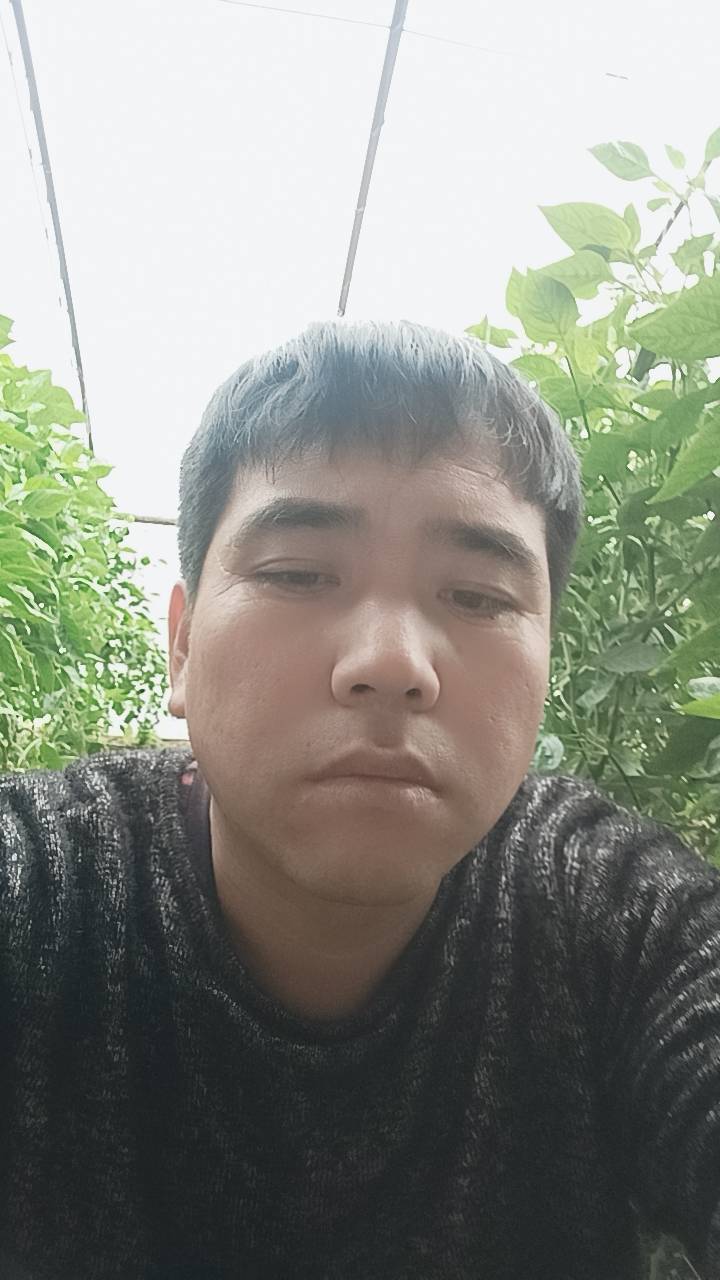 暖恋app