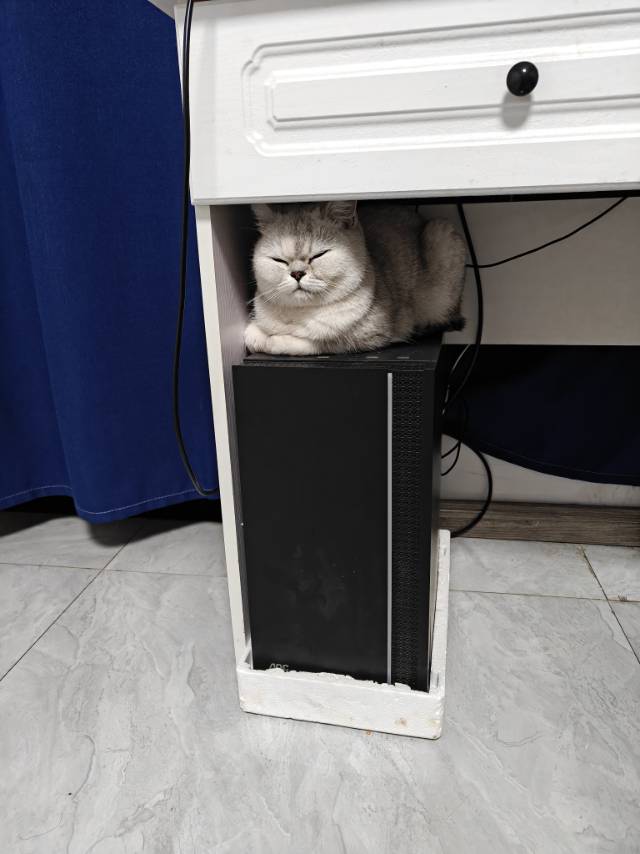 找搭子
