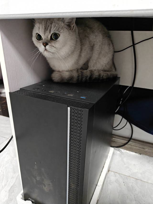 找搭子