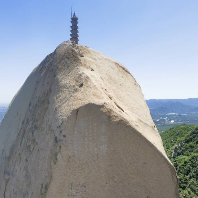 找搭子