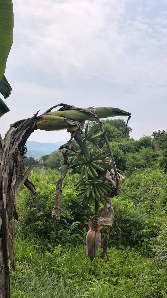 找搭子