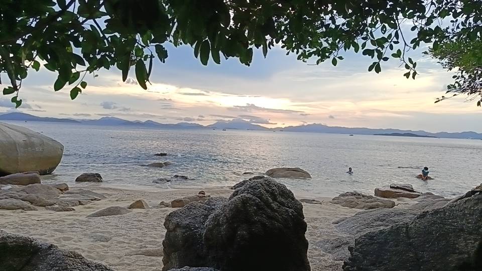 找搭子