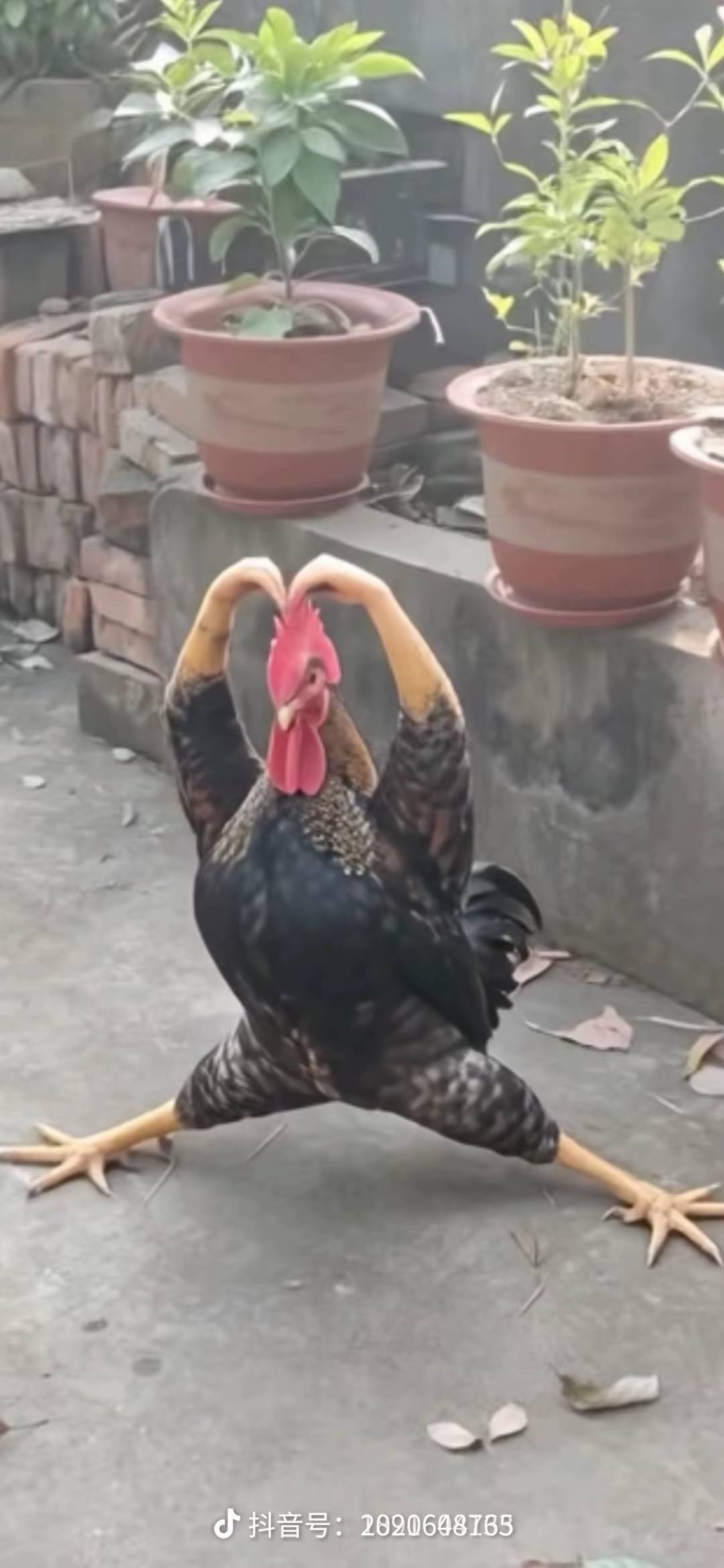 找搭子