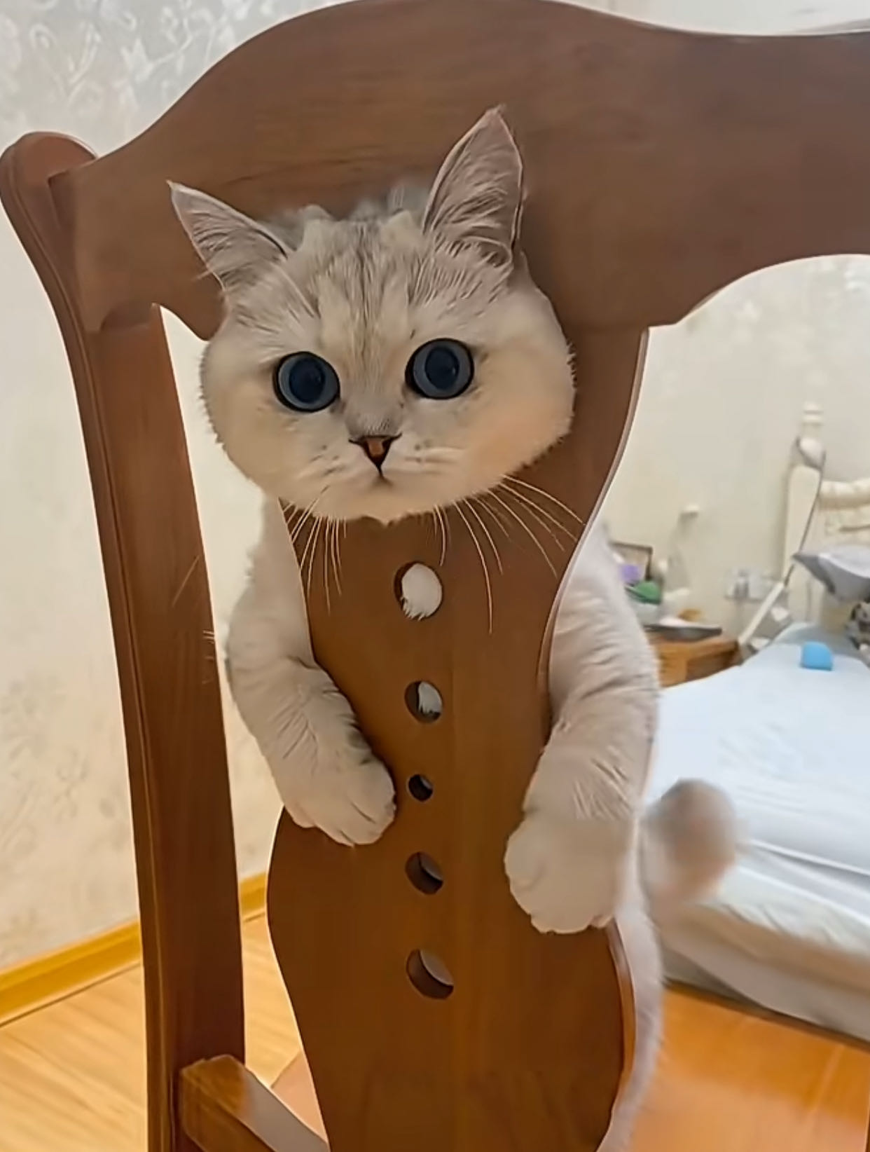 找搭子