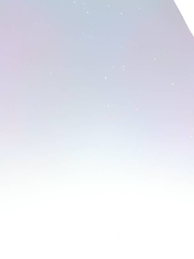 找搭子
