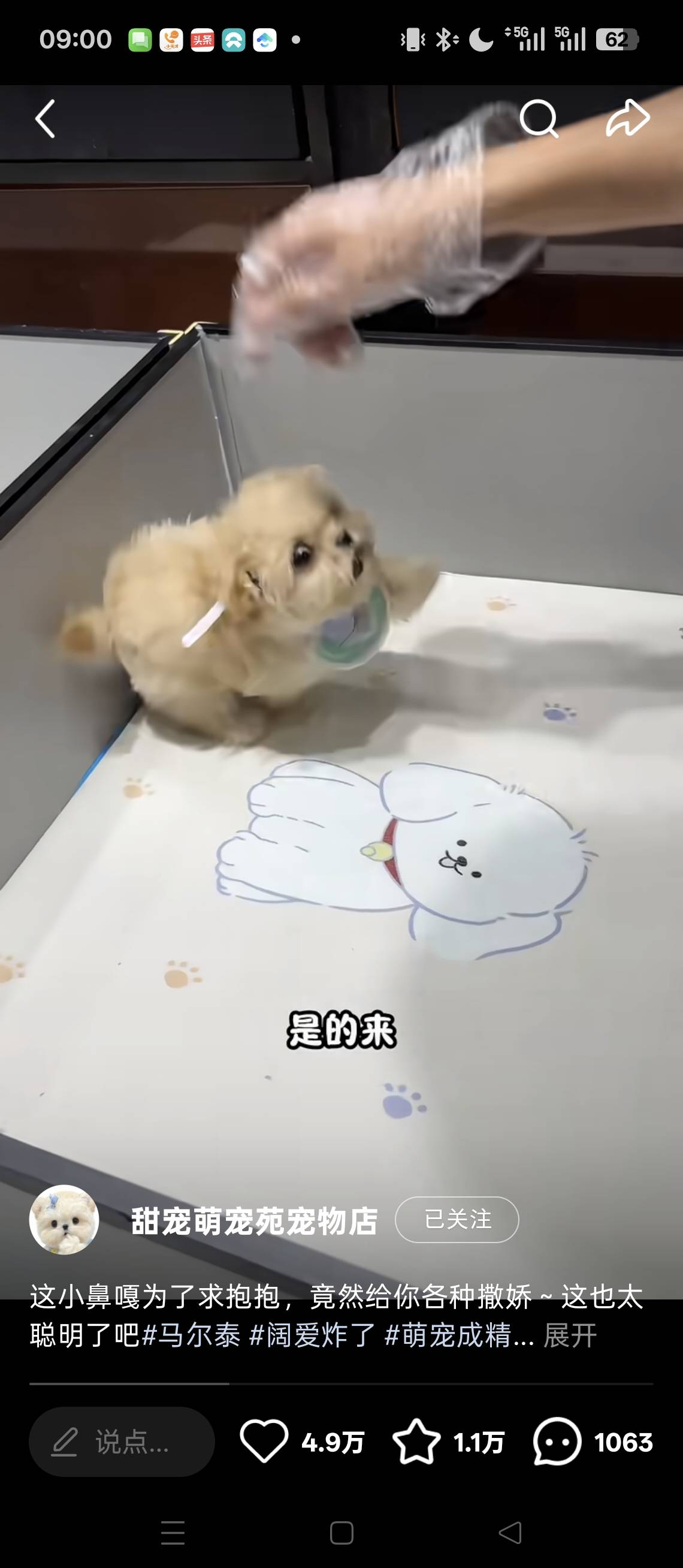 找搭子