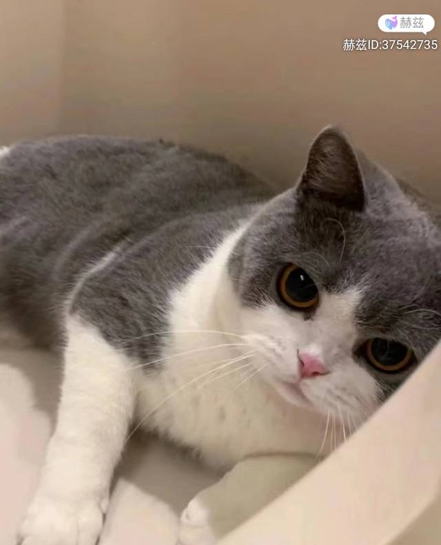 找搭子