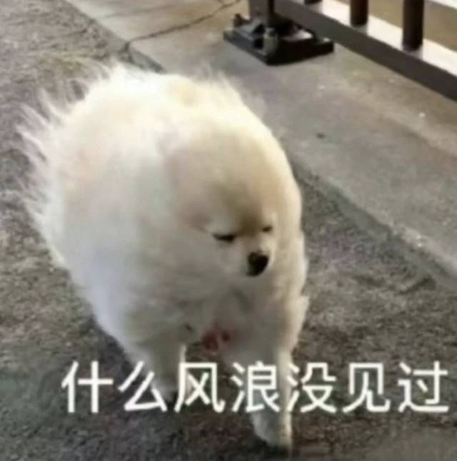 找搭子