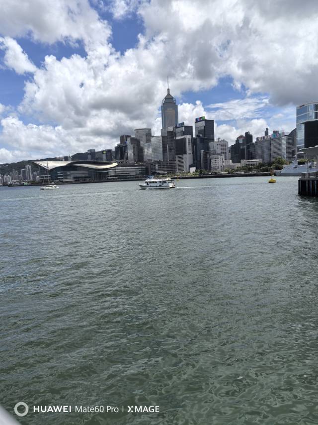 暖恋单身交友平台