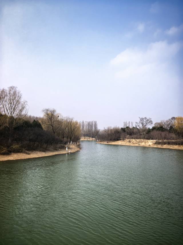 找搭子
