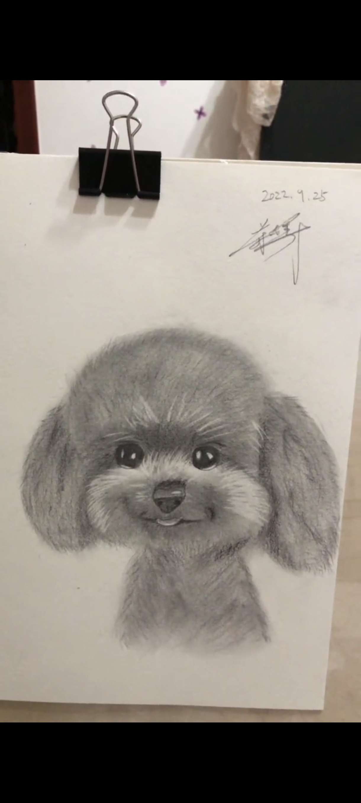 暖恋单身交友平台