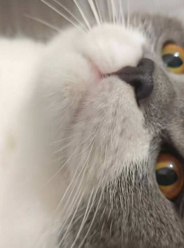 找搭子