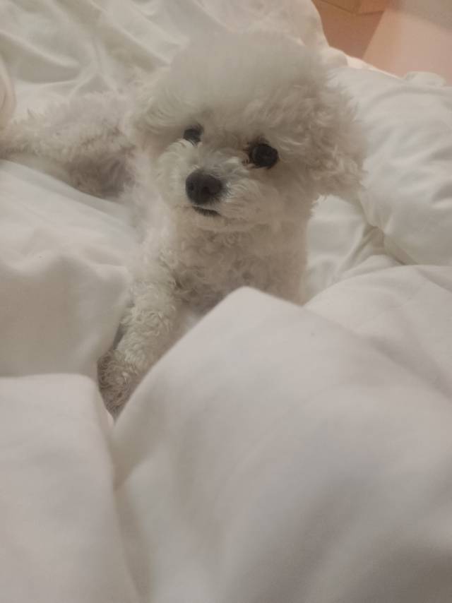 找搭子